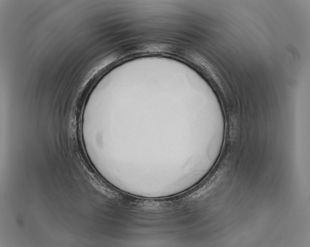 X0000110320827200906111451