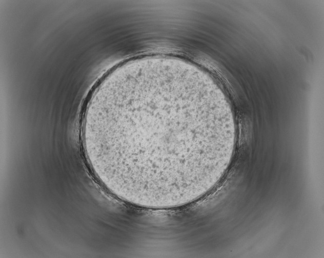 X0000110320828200906111451