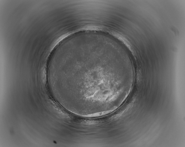 X0000110320829200906111451