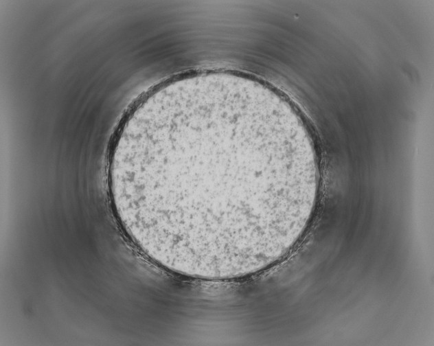 X0000110320832200906111451