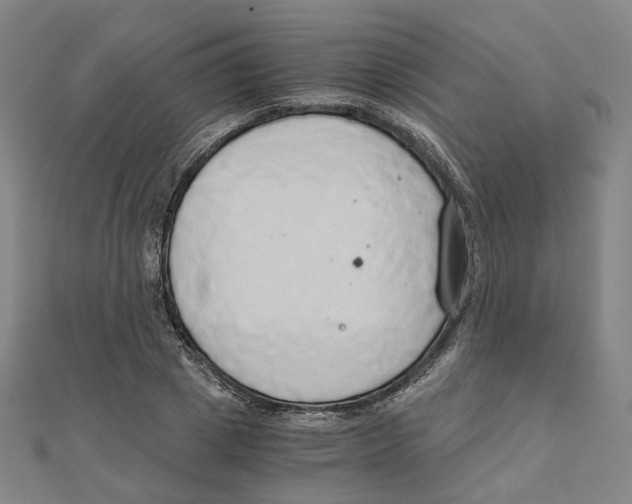 X0000110320833200906111451