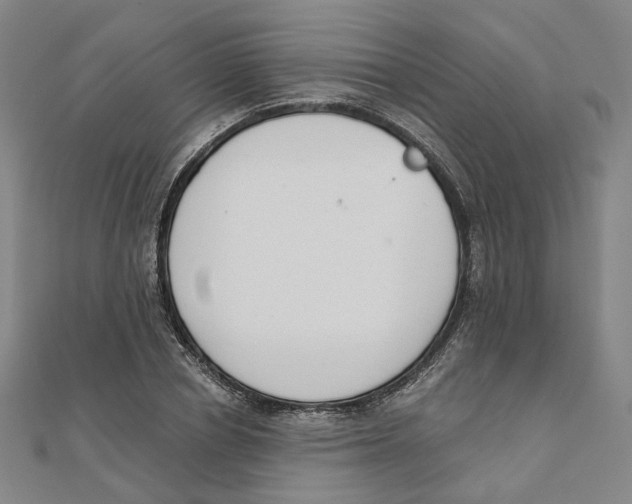 X0000110320834200906111451