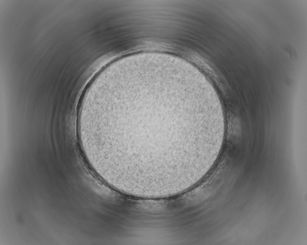 X0000110320836200906111451