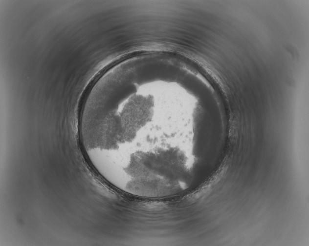 X0000110320837200906111451