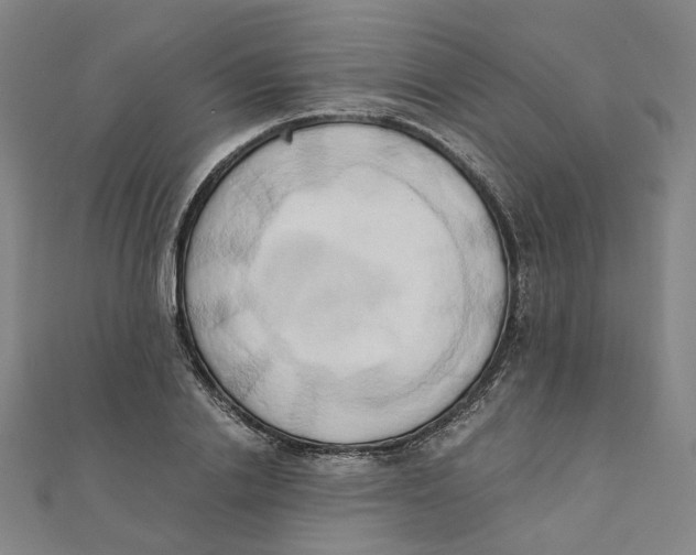 X0000110320838200906111451