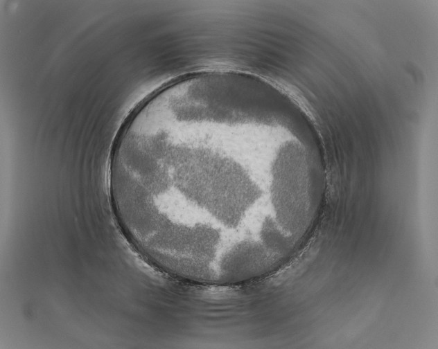 X0000110320839200906111451