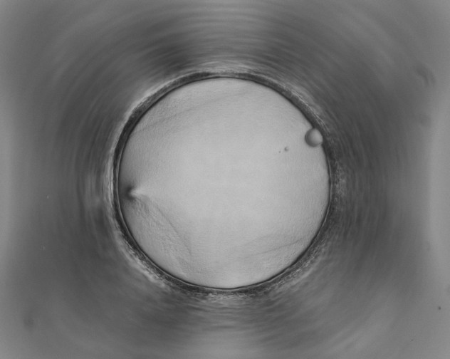 X0000110320840200906111451