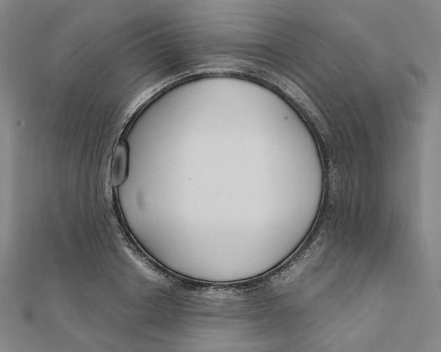 X0000110320842200906111451