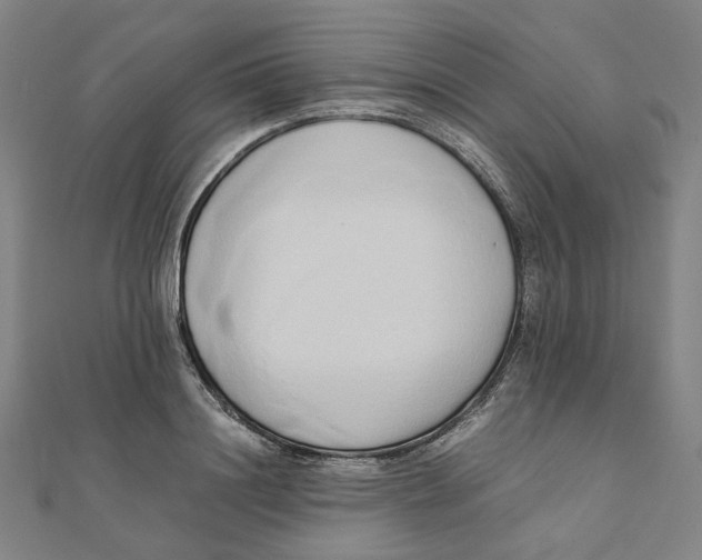 X0000110320844200906111451