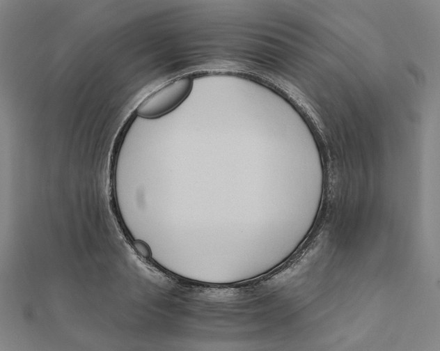 X0000110320845200906111451