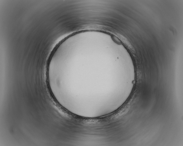 X0000110320846200906111451