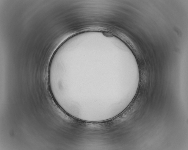 X0000110320852200906111451