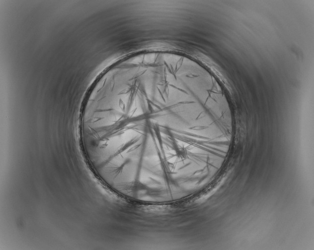 X0000110320853200906111451