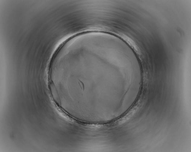 X0000110320854200906111451