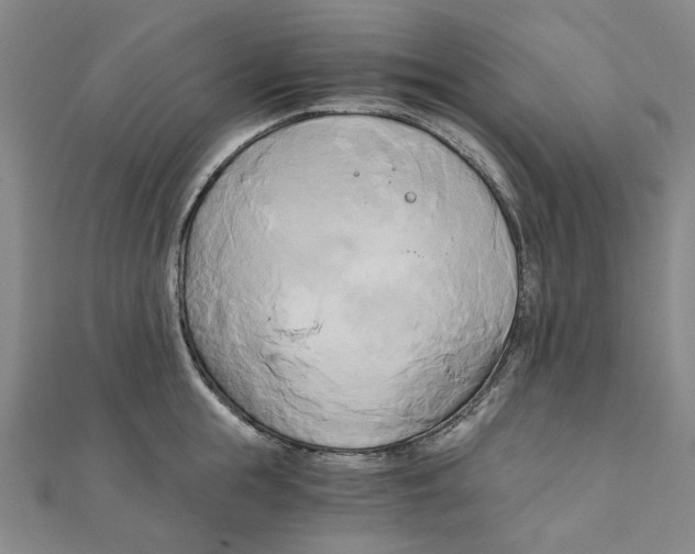 X0000110320855200906111451