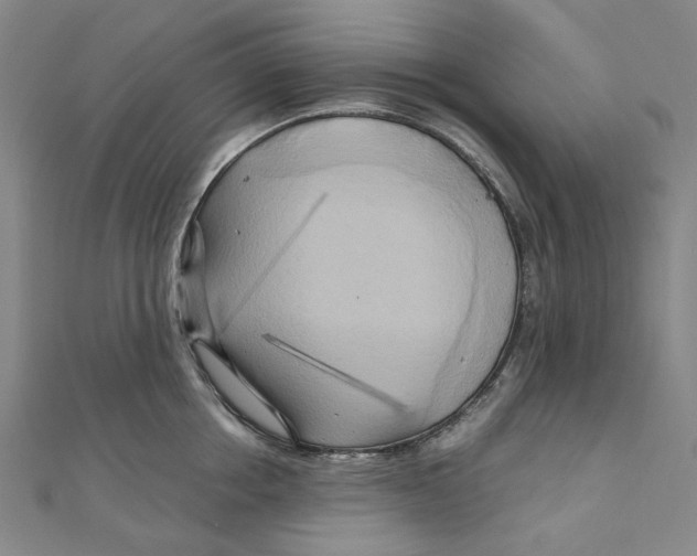 X0000110320858200906111451