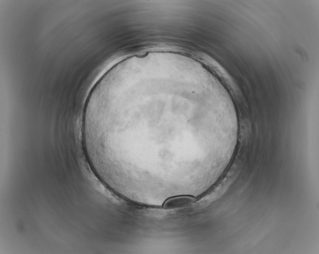 X0000110320860200906111451