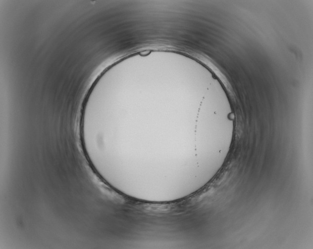 X0000110320861200906111451