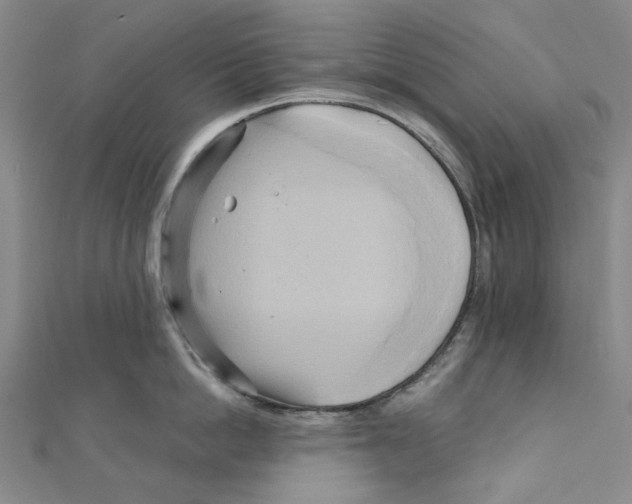 X0000110320862200906111451