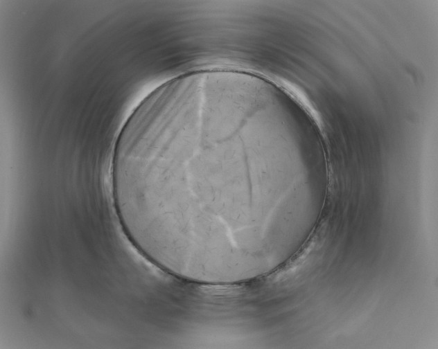 X0000110320863200906111451