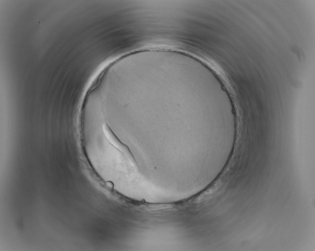 X0000110320864200906111451