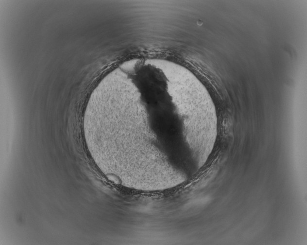 X0000110320865200906111451