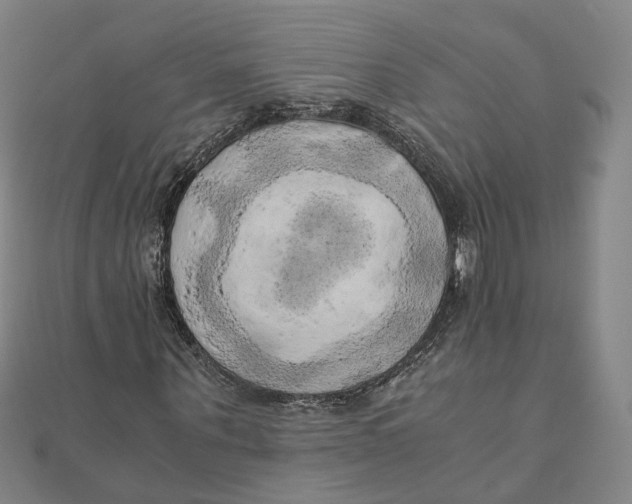 X0000110320867200906111451