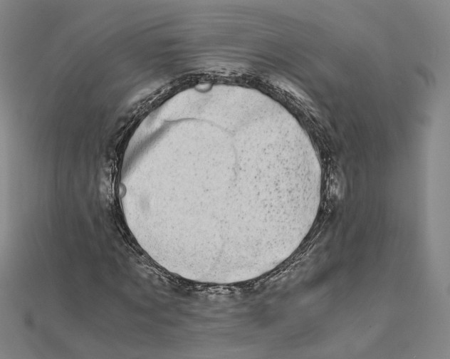 X0000110320869200906111451