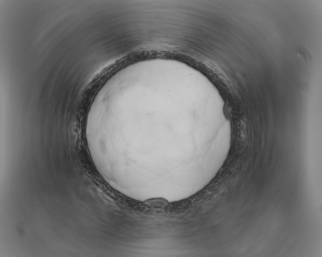 X0000110320872200906111450