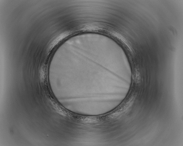 X0000110320874200906111450