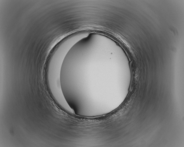 X0000110320877200906111450