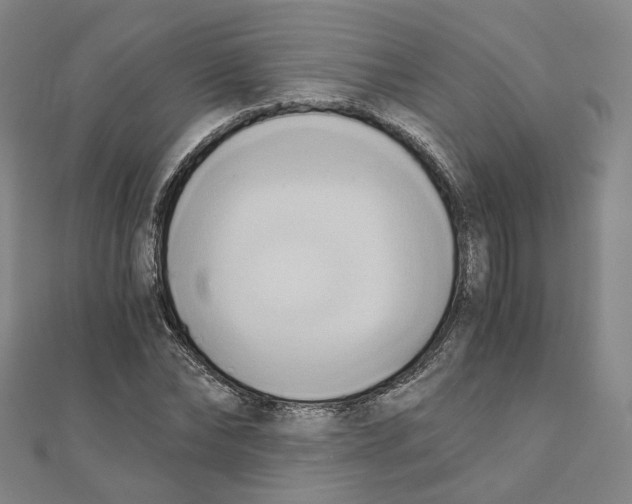 X0000110320878200906111450