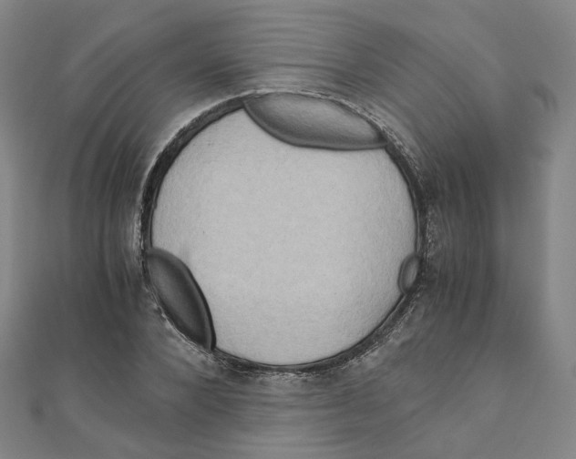 X0000110320880200906111450