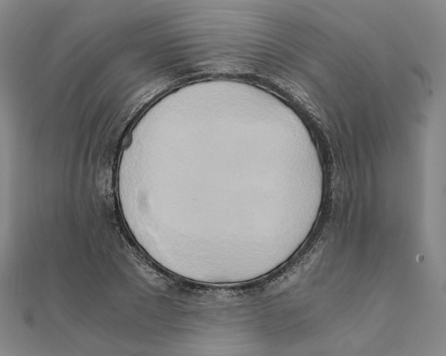 X0000110320881200906111450