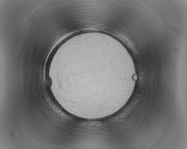 X0000110320884200906111450