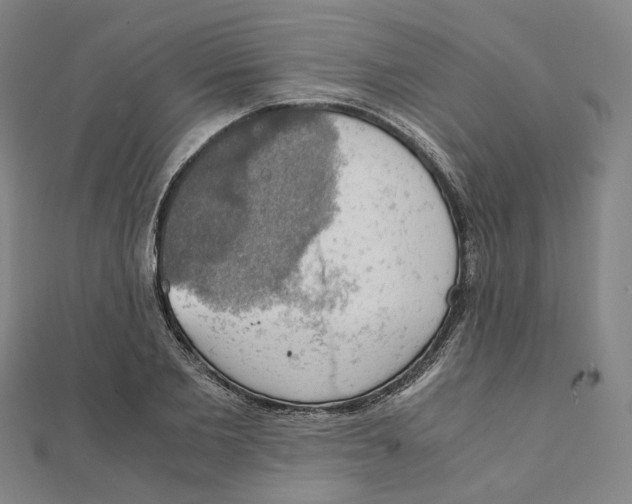 X0000110320885200906111450