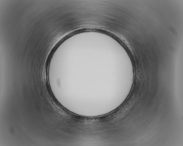 X0000110320887200906111450