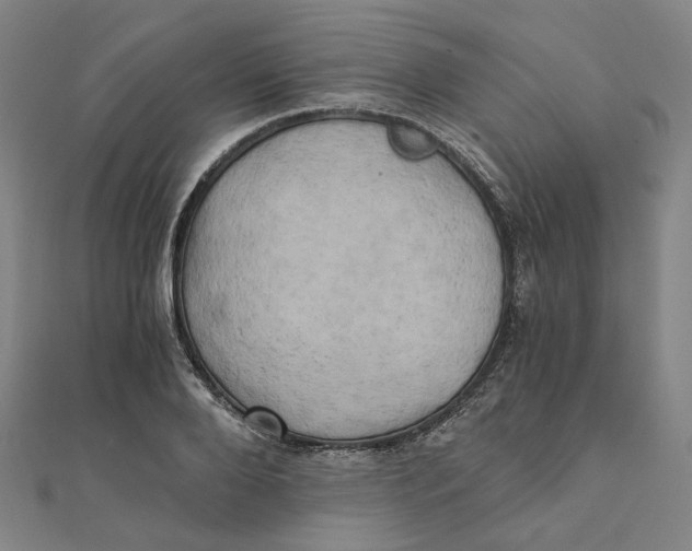 X0000110320888200906111450