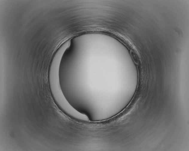 X0000110320889200906111450