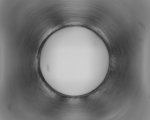 X0000110320890200906111450