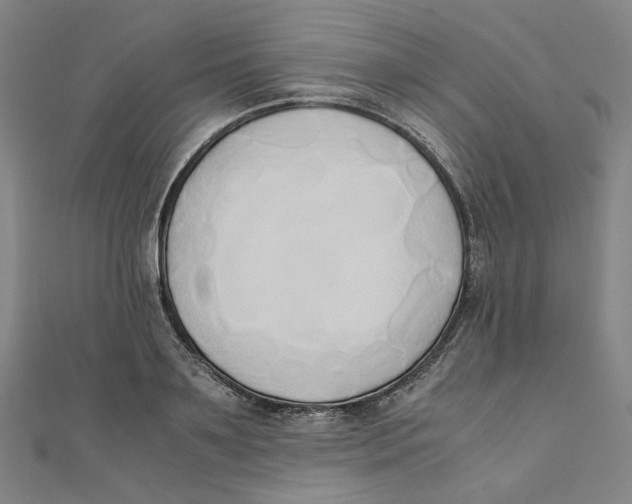 X0000110320891200906111450