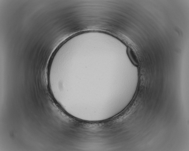 X0000110320892200906111450