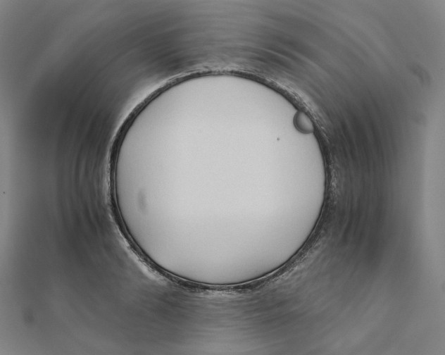 X0000110320894200906111450