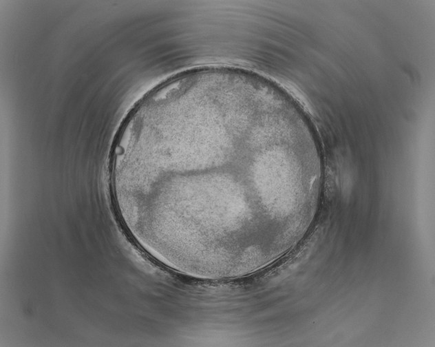 X0000110320895200906111450