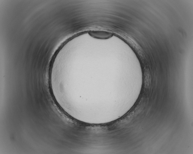 X0000110320896200906111450