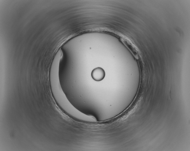 X0000110320897200906111450