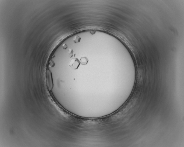 X0000110320898200906111450