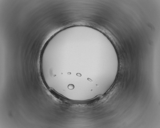 X0000110320902200906111450