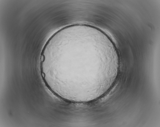 X0000110320903200906111450