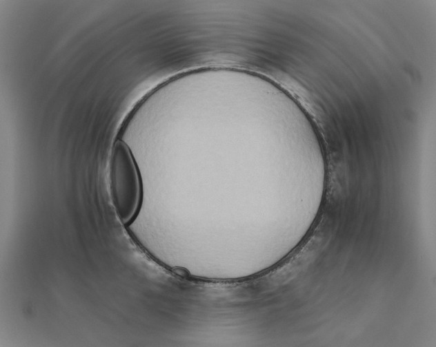 X0000110320904200906111450